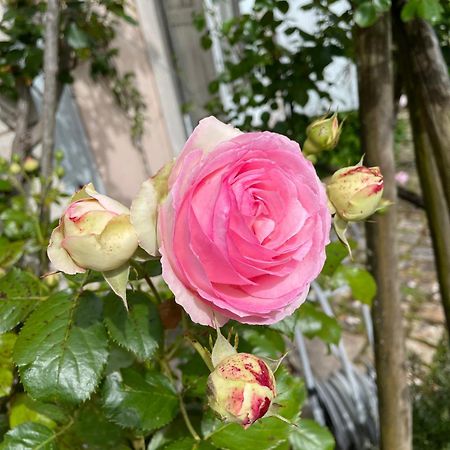 Belle Fontaine Hotel Bourges Bagian luar foto